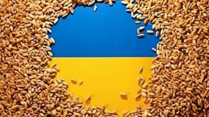 Cereale din Ucraina