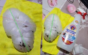 Grindină de dimensiuni record a lovit nordul Italiei: Bucăți de 19 cm în diametru