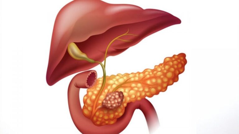 Pancreasul, organul vital de care trebuie să avem mare grijă – 8 semne ale unui pancreas bolnav
