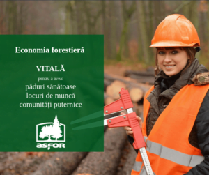 Economia forestieră a României, încotro!?