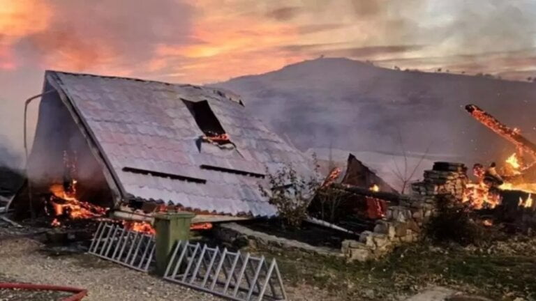 Incendiu ferma dacilor