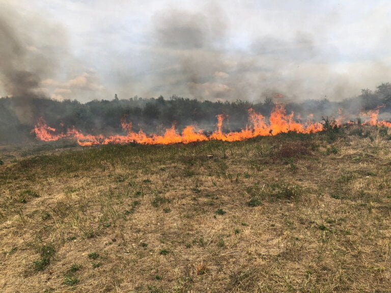 Incendiu ferma dacilor