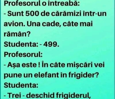 O studentă dă un examen la logică. Profesorul o întreabă: