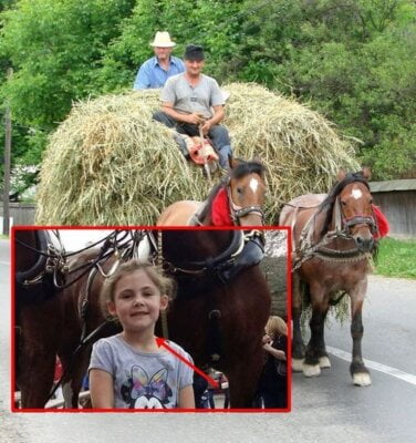 Tatăl îi face o poză fetiţei sale lângă un cal. La o privire mai atentă,…