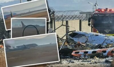 Accident aviatic cu 179 de morţi. ADN de raţă în ambele motoare ale aeronavei care s-a prăbuşit în Coreea de Sud