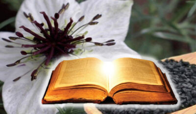 Planta mentionata in Biblie si Coran despre care se spune ca vindeca orice boala. E bine sa o ai in gradina, daca stai la casa