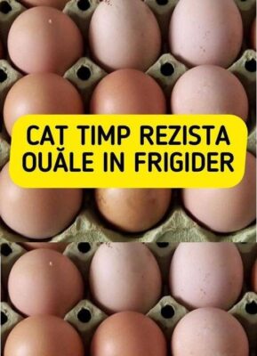 În bucătăria fiecărei gospodine, ouăle sunt adevăratele vedete. Dar cât timp rezistă, mai exact, un ou de țară în frigider?