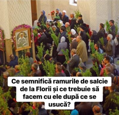 Ce semnifică ramurile de salcie de la Florii și ce trebuie să facem cu ele după ce se usucă?