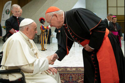 cardinal 768x511 1
