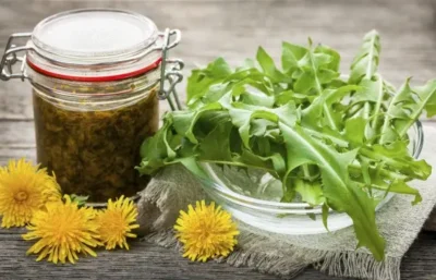 Atenție! Păpădia, planta-minune care tratează diabetul, cancerul și curăță sângele – rețete și beneficii uimitoare!