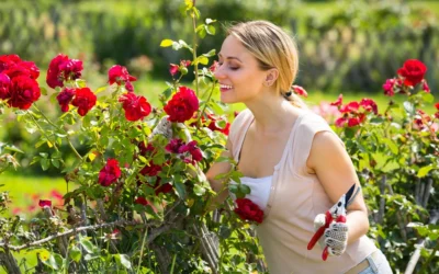 Șase plante care îți pot aduce noroc, sănătate și prosperitate în casă – mit sau realitate?