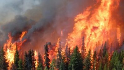 Alertă incendii în Mehedinți și Hunedoara! Zeci de hectare mistuite de flăcări din cauza caniculei și neglijenței umane!