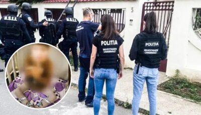 511319002 1135838768562469 1913779705291961037 n