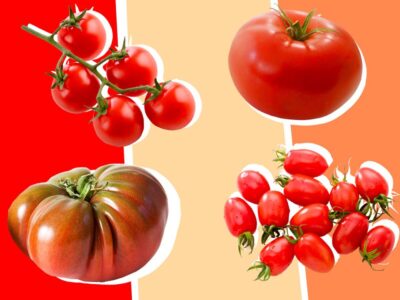 Atenție, roșii tratate cu chimicale invadă piețele! Cum îți dai seama dacă roșia este naturală sau periculoasă?