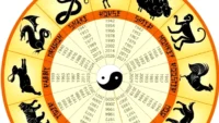 Horoscop Chinezesc 10-16 noiembrie 2025. Trei zodii pornesc pe un drum greu, dar vor avea belșug la final