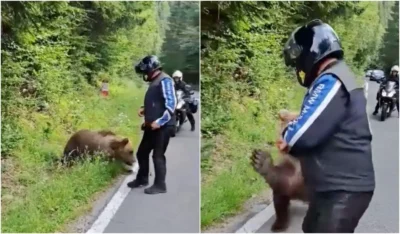 514348189 1056977106628688 1095527311423508876 n