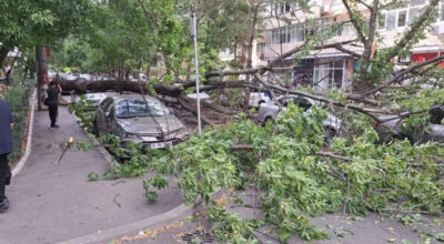 Bucurestiul sub Cod Rosu de vijelii 1024x562 1