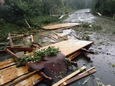 VIJELIE TAGA 2 1200x900 1 1