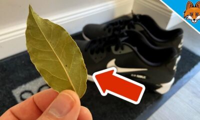 maxresdefault 1000x600 1