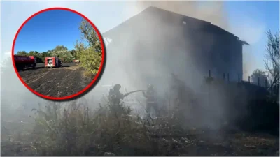 Video. Incendiu de vegetație devastator lângă București. Focul s-a extins în zona de pădure și la o casă. Update