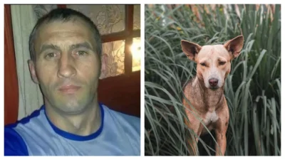 Un bărbat a murit de rabie, după ce a fost mușcat de un câine vagabond: „Când a ajuns la spital, au spus că e sevraj alcoolic”