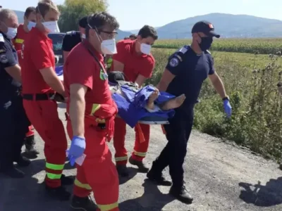 Atac de coșmar : Bărbat DESFIGURAT de URS în timp ce muncea pe câmp