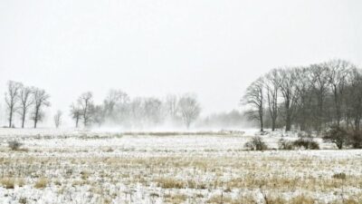 Vine iarna mai devreme în România! Avertizare METEO de ULTIMĂ ORĂ