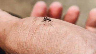 Virusul care se răspândește cu repeziciune în România! Au fost raportate deja zeci de cazuri. Medicii, în alertă