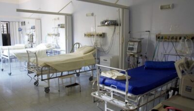 ALERTĂ MAXIM în România: Virusul West Nile REVINE — 17 cazuri în 3 luni! Iată cine e în pericol și cum te poți proteja