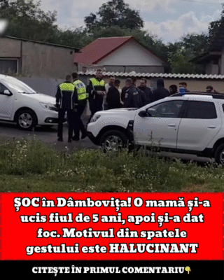 Citeste i 31