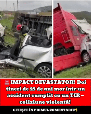 Citeste i 80