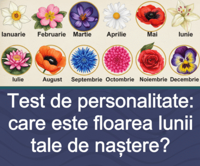 Test de personalitate: care este floarea lunii tale de naștere?