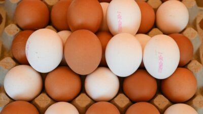 Ce să le dai la GĂINI ca să facă ouă pe bandă rulantă! Ingredientul BANAL pe care îl ai deja în casă