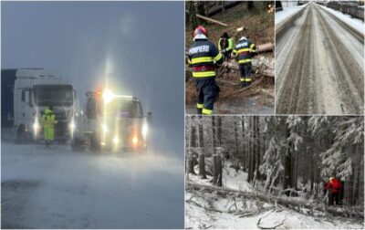 uhttps3A2F2Fobservatornews.ro2Fuploads2Fmodules2Fnews2F02F20252F122F302F6414852Fviscol 768x484 1