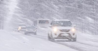 uhttps3A2F2Fobservatornews.ro2Fuploads2Fmodules2Fnews2F02F20262F12F152F6428422Fviscol