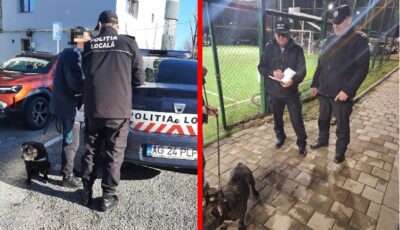 Lovitură totală pentru proprietarii de câini! Greșeala banală care te lasă fără 1.000 de lei în buzunar chiar acum