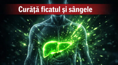 Planta amara care iti curata ficatul si sangele. Este un adevarat „aspirator” pentru toxinele din organism