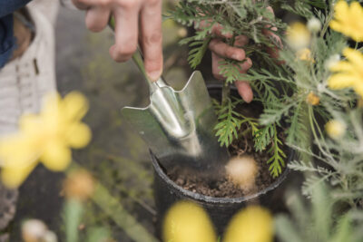 close up woman s hand using hand shovel while planting plant pot scaled 1200x801 1