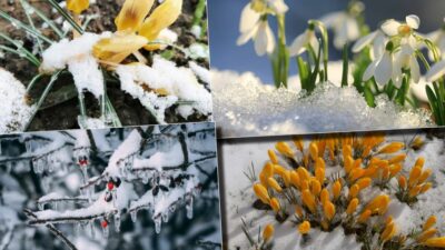Iarna se întoarce în forță în România! Meteorologii Accuweather anunță ninsori timp de opt zile, începând cu 28 martie