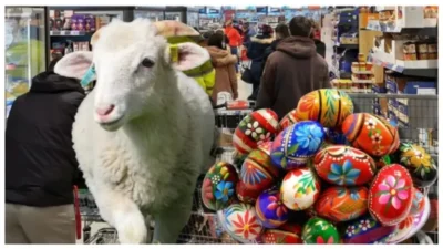 Bomba de Paște: Cât a ajuns să coste un kilogram de miel! Prețul ireal care îi lasă pe români cu masa goală