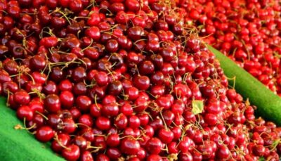 Se vinde „ca pâinea caldă”! Câți lei a ajuns să coste un kilogram de cireșe într-o piață din Sibiu: E ireal!
