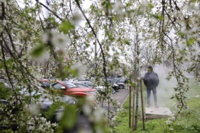 Vânt puternic, ploi și ninsori în România! Elena Mateescu de la ANM a anunțat ce se întâmplă chiar înainte de Florii