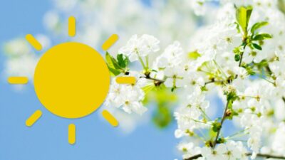 Răsturnare de situație la meteo! Vin ninsorile peste România după temperaturi de 25 de grade. Anunțul de ultimă oră ANM