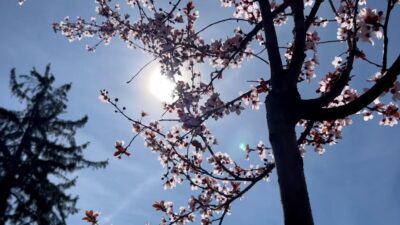 Răsturnare de situație de Paște! Iarna s-a întors în România, dar meteorologii anunță ce se întâmplă chiar de duminică