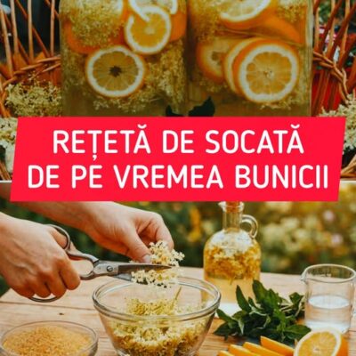 SECRETUL bunicii pentru GUSTUL AUTENTIC al socatei de casă constă în acest…