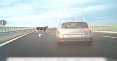 Haos pe Autostrada A7! Ce a căzut dintr-o mașină în plină viteză. Șoferii au înlemnit când au văzut asfaltul
