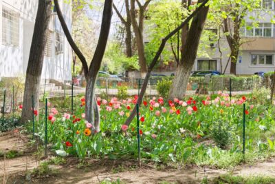 Amenda uriașă pe care o primesc românii care stau la bloc! Nu mai ai voie să faci asta în fața ferestrei sub nicio formă