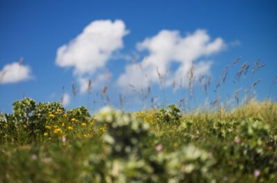 Vara lovește România în mai! Vin temperaturi de 28 de grade, dar ANM anunță și vijelii. Vezi prognoza pe regiuni