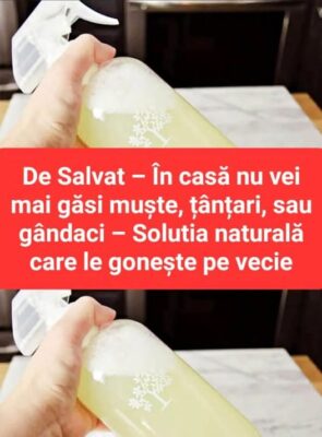SCAPĂ DE INSECTE folosind trei ingrediente banale pe care le ai deja în casă…