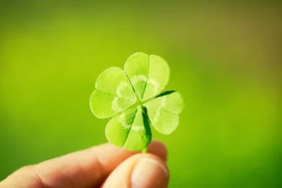 Se deschid cerurile la noapte! Ritualul magic de Sânziene care îți aduce noroc și belșug. Ce să faci la miezul nopții